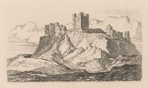 Kniha studií: Plate 30, Bambro