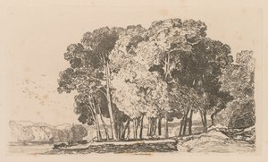 Liber Studiorum: Plate 3, Trees near Twickenham, 1838. od John Sell Cotman