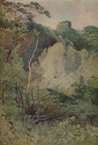 Stromy poblíž řeky Greta, 1923 od John Sell Cotman