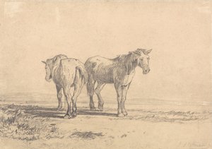 Dva staří koně stojící na poli od John Sell Cotman