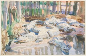 Muddy Alligators, 1917 (wc přes grafit na papíře) od John Singer Sargent