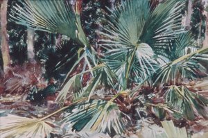 Palmettos, 1917 (wc, grafit a vosková pastelka na bílém tkaném papíře) od John Singer Sargent