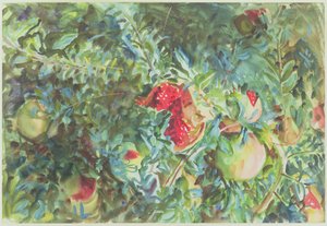 Granátová jablka, 1908 (wc nad tužkou na papíře) od John Singer Sargent