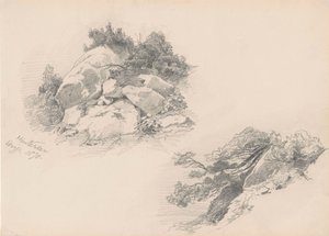 Rocks and Brush, Hintersee, Německo, 1871 (grafit na tkaném papíru) od John Singer Sargent