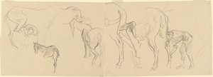 Studie pro "Kování kalvárských koní vpředu" [recto] od John Singer Sargent