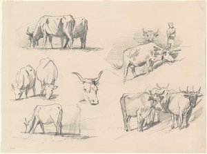 Studie skotu, c. 1872. od John Singer Sargent