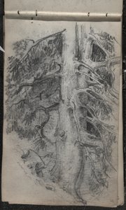 Studie stromu, 1871-72 (grafit na tmavém šedobílém tkaném papíru) od John Singer Sargent