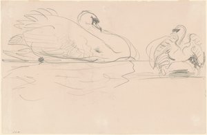 Labutě ve vodě, 1880-1900. od John Singer Sargent