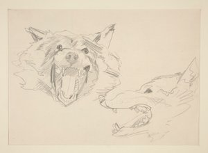Dva pohledy na vlka od John Singer Sargent