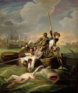 Watson a žralok, 1782