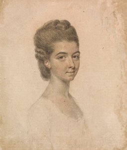 Paní Wardová od John Smart