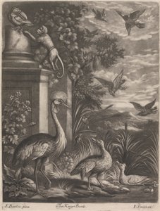 Kings Birds od John Smith