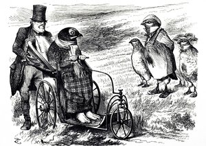 Karikatura komentující pozastavení Grouse Shooting, aby se zásoby mohly znovu postavit. Ilustroval John Tenniel (1820-1914), anglický ilustrátor, grafický humorista a politický karikaturista od John Tenniel