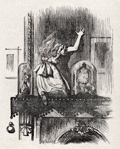 Alice přes zrcadlo od John Tenniel