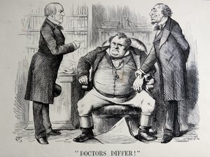 Politická satira zobrazující Williama Ewarta Gladstonea, Benjamina Disraeliho a Johna Bulla od John Tenniel