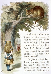 Cheshire kočka od John Tenniel