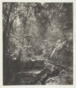 Horský průsmyk ve Formosě od John Thomson