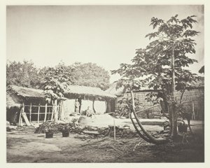 Pepohoanské obydlí od John Thomson