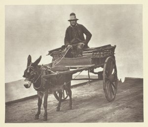 Black Jack od John Thomson