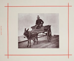 Black Jack, 1877. od John Thomson