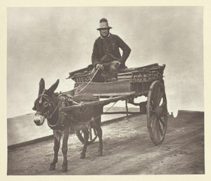 Black Jack, 1881. od John Thomson