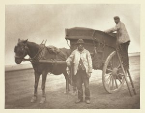 Létající pracháčci od John Thomson