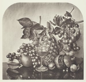 Ovoce od John Thomson