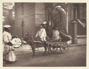 Listopadové podobizny od John Thomson