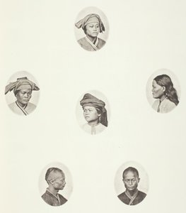 Stromy samičí hlavy, stromy samičí hlavy, stromy samičí hlavy, samičí stromy..., c. 1868. od John Thomson