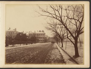 [Zasněžená silnice] od John Thomson