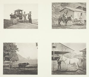 Sedan, vojenský důstojník, pluh, severočínský poník, c. 1868. od John Thomson