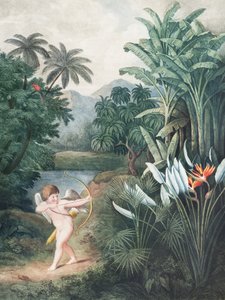 Cupid oživující rostliny láskou z Chrámu Flory (1807) od Roberta Johna Thorntona od John Thornton