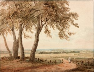 Pohled z Polsden poblíž Bookham v Surrey od John Varley