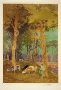 Bruggy od John W. Cotton