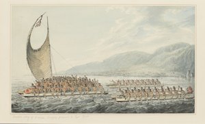 35: Tereoboo, král Owyhee, přináší dárky kapitánu Cookovi, ze série akvarelů ilustrujících poslední plavbu kapitána Cooka, cca 1773-84 (akvarel na papíře) od John Webber