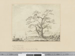 F.44 Pohled na mořské pobřeží, velký strom uprostřed, cca 1783-84 od John Webber