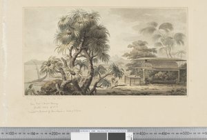 F.46 Pohled na hrobku na mořském pobřeží, cca 1783-1784 (akvarel) od John Webber