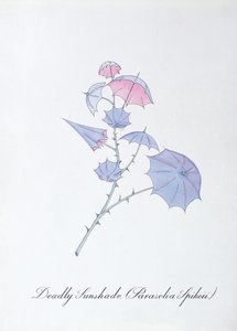 Deadly Sunshade (Parasolia Spikeii.), ilustrace z 