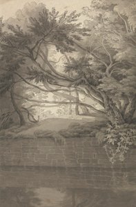 Stromy přečnívající jezero od John White Abbott