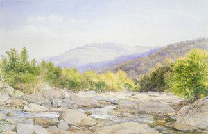 Krajina: Pohled na Catskill Creek, 1867. od John William Hill