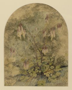 Wildflowers (wc na papíře)