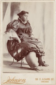 Portrét ženy, c. 1890 (foto) od Johnson