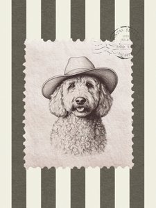 Kovbojský klobouk Goldendoodle