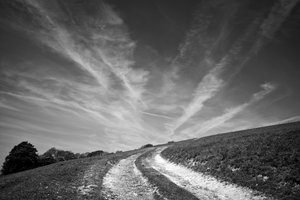 The Goodwood Estate v Západním Sussexu, Velká Británie, 2019 (foto) od Jon Nicholson