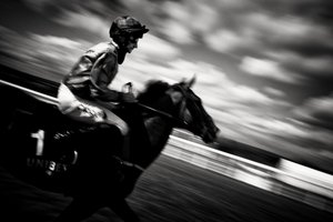 Panství Goodwood v Západním Sussexu, Spojené království, 2020 (foto)