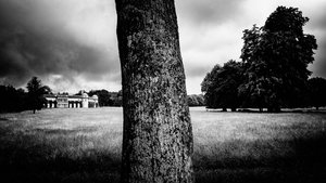 Panství Goodwood v Západním Sussexu, Spojené království, 2020 (foto)