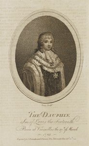 Delfín od Jones