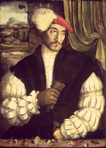 Portrét muže, 1533 od Jorg I Breu