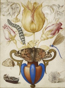 Aranžmá květin ve váze, s hmyzem, 1594 (Akvarel se zlatem na pergamenu) od Joris Hoefnagel