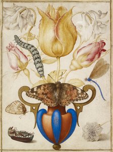 Uspořádání květin ve váze, s hmyzem, 1594 od Joris Hoefnagel